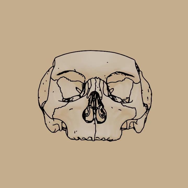 ImageBase of Skull